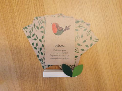 Customer photo review of Kit delle Carte Motivazionali ispirate agli Animali del Bosco