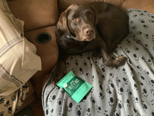 Customer photo review of Rosie's Beef N' Rice Meal Pouch