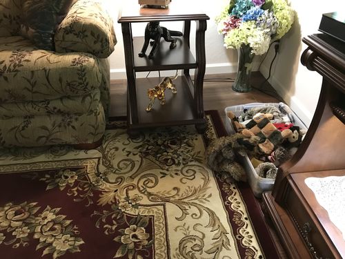 Customer photo review of Panther