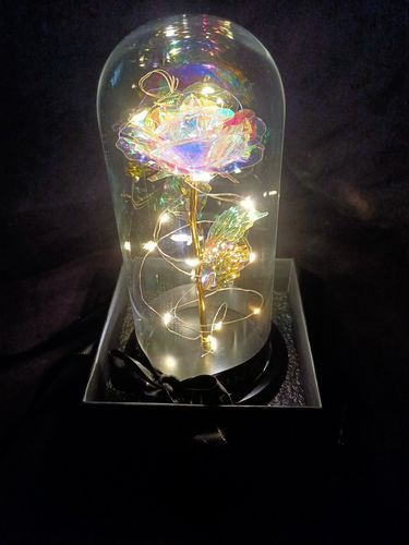 Customer photo review of Galaxy LED Rose Dome