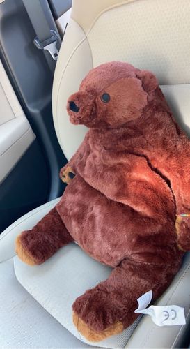 Customer photo review of SKOGGY BEAR