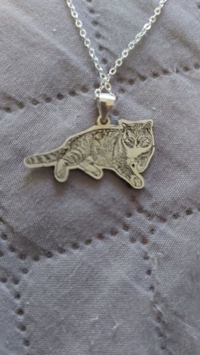 Customer photo review of LOANYA Personalised Pet Necklace or Pendant
