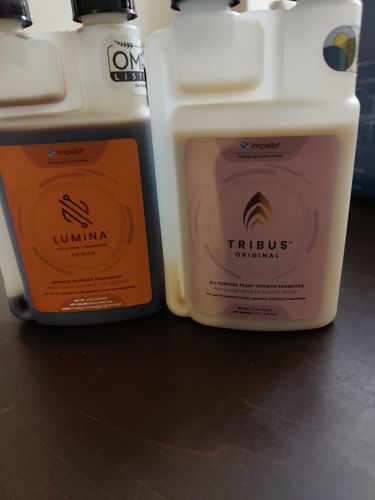 Customer photo review of Black Friday BOGO