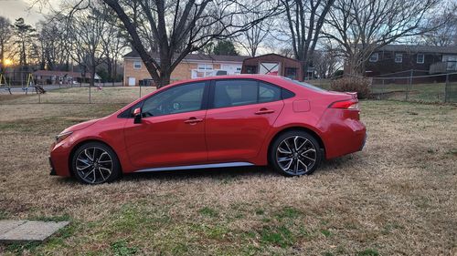 Customer photo review of The Starter Collection
