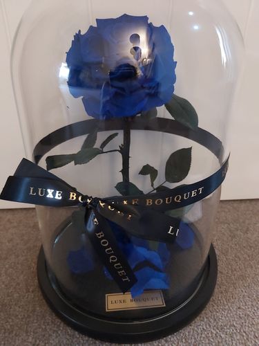 Customer photo review of The Everlasting Rose - Royal Blue