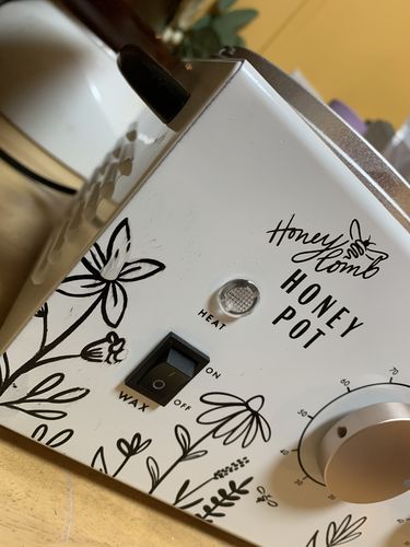 Customer photo review of Double Wax Warmer Honey Pot