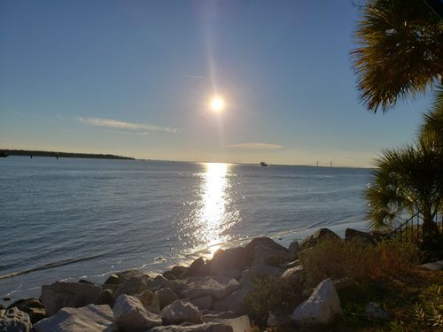 Customer photo review of Natural Probiotic Detox Capsules | Microbiome Plus+