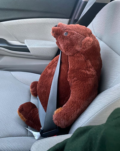 Customer photo review of SKOGGY BEAR