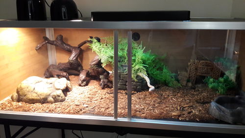 Customer photo review of Meridian 48"x24"x16" PVC Panel Reptile Enclosure