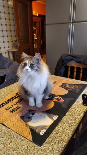 Customer photo review of Tappeto personalizzato con Cani & Gatti