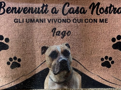 Customer photo review of Tappeto personalizzato con foto