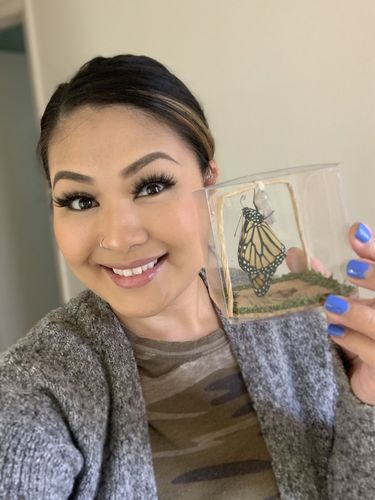 Customer photo review of Classic Live Monarch Butterfly Chrysalis Box