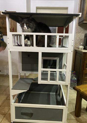 Customer photo review of Casa do Gato madeira 78x76x140cm