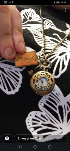 Customer photo review of Montre à Gousset Lapin Blanc