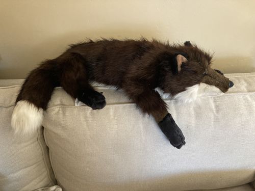 Customer photo review of Ditz Red Fox Hugs