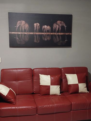 Customer photo review of Elephants in Starry Sky