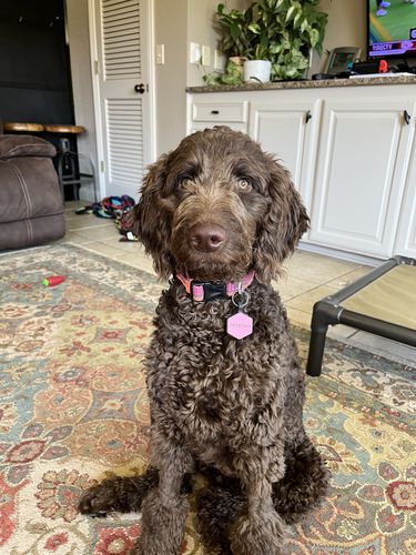 Customer photo review of Pink Silicone