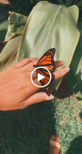 Customer video review of Classic Chrysalis Box + Pouch Set