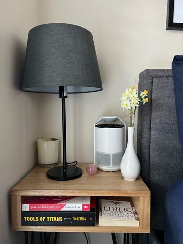 Customer photo review of Quash UV Indoor Bug Trap - White