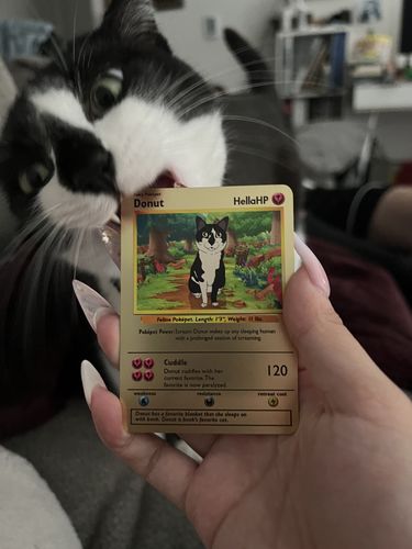 Customer photo review of Pokepet
