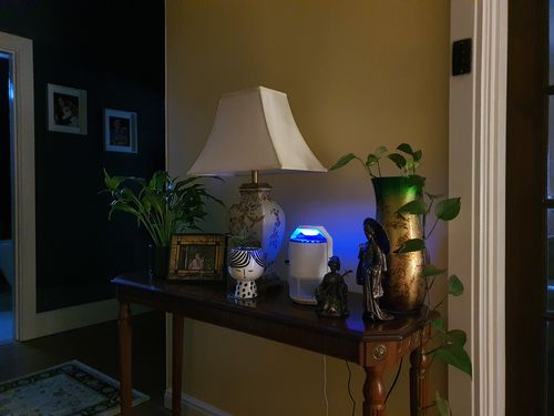 Customer photo review of Quash UV Indoor Bug Trap - White