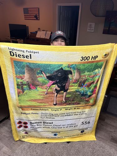 Customer photo review of Pokepet