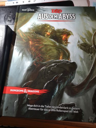 Customer photo review of D&D Aus dem Abyss