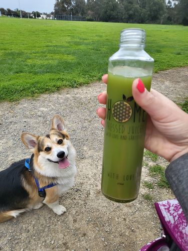 Customer photo review of Deep System - 3 or 5 Day Cleanse
