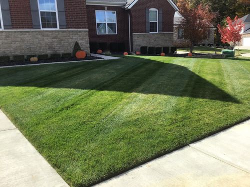 Customer photo review of Protene Performance Fall Fertilizer