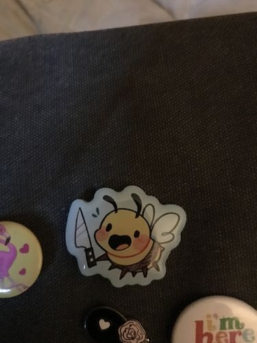 Customer photo review of Chaotic Bees Acrylic Pins