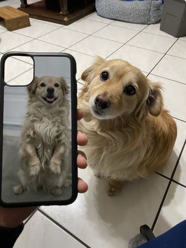 Customer photo review of Custom iPhone Case