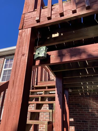 Customer photo review of Dog Silencer® MAX