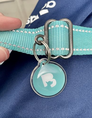 Customer photo review of Teal