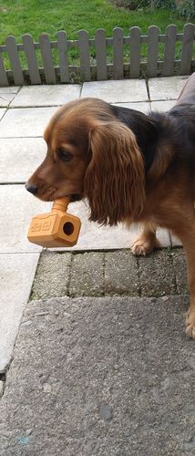 Customer photo review of The Fenrir Hammer