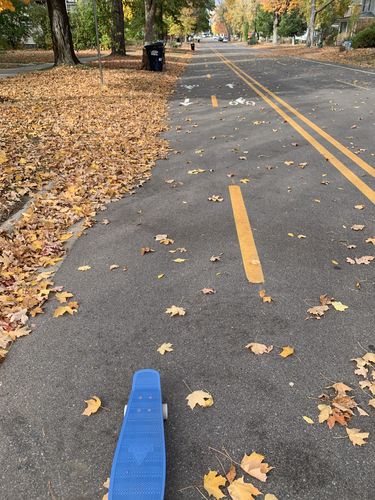 Customer photo review of Oceans Cruiser Skateboard