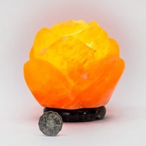 Customer photo review of Scarlet Rose Himalayan Salt Lamp