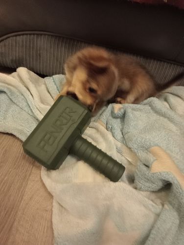 Customer photo review of The Fenrir Hammer