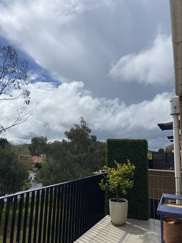 Customer photo review of Portable Premium Buxus Artificial Hedge UV stabilised (2m x 1m)
