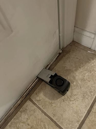 Customer photo review of Door Alarm