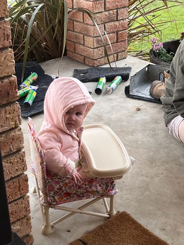 Customer photo review of Paloma baby chair v2