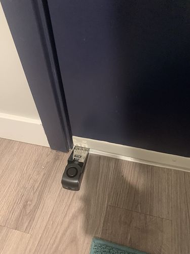 Customer photo review of Door Alarm