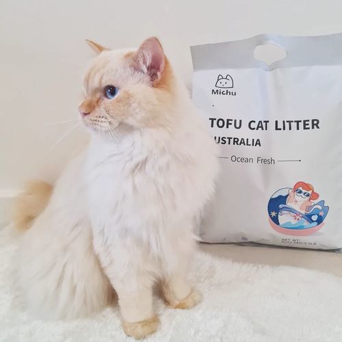 Customer photo review of Michu Natural Clumping Tofu Cat Litter 2.5kg/6L