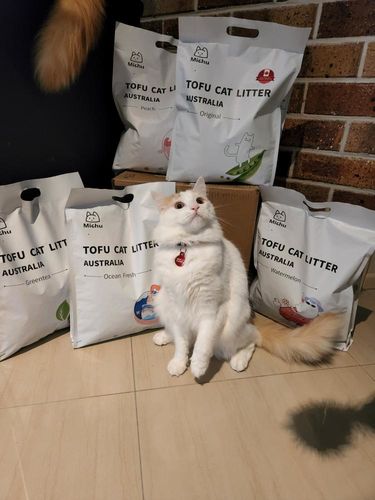 Customer photo review of Michu Natural Clumping Tofu Cat Litter 2.5kg/6L