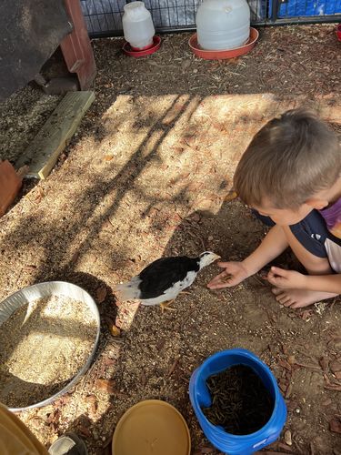 Customer photo review of GrubTerra Dried Larvae