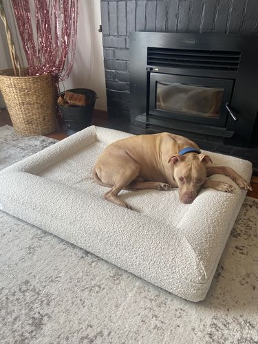 Customer photo review of Orthopaedic Memory Foam Bed