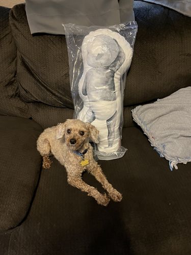 Customer photo review of Birth Pillow Watercolor Two