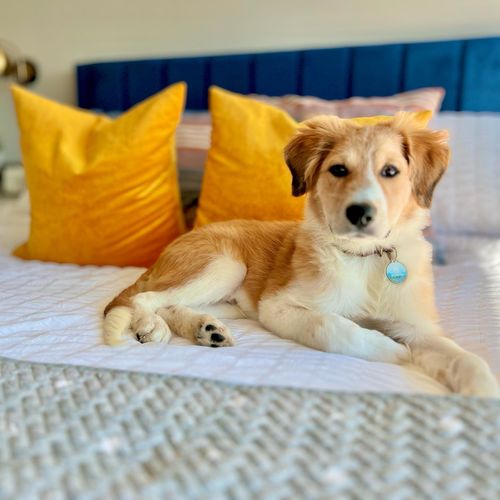 Customer photo review of Explorer