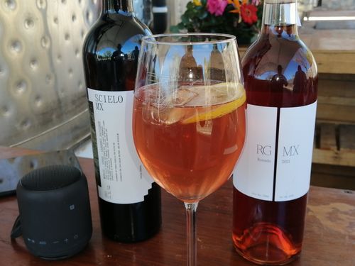 Customer photo review of Recorrido SCIELOMX