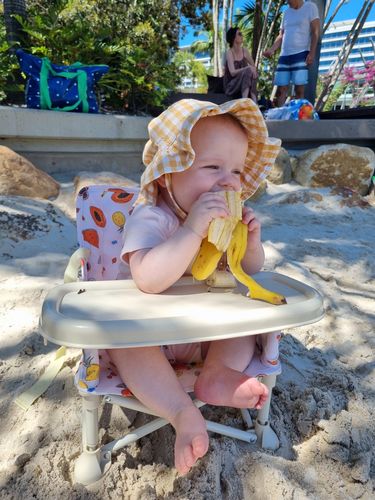 Customer photo review of Clementine baby chair v2