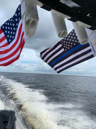 Customer photo review of Thin Blue Line Flag